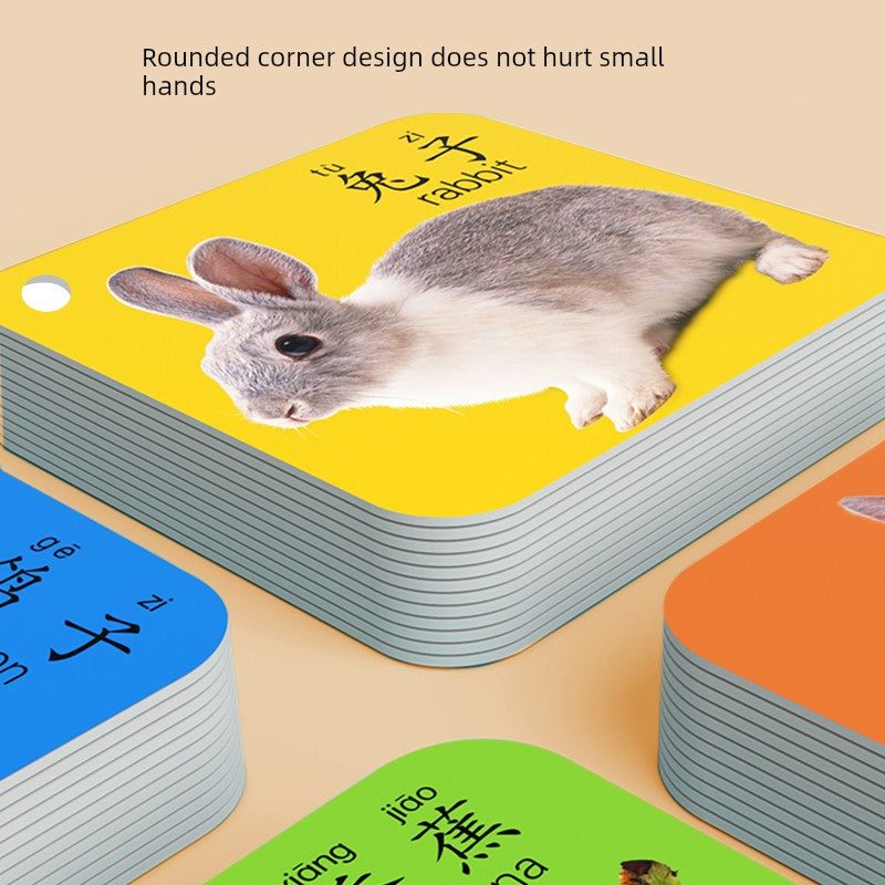 S5087b23417fa4001a57e3e2af42f5668P