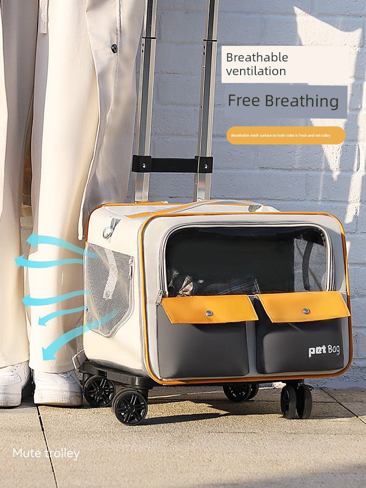 S5ce03da1d3b34690964d31d6c77c4d8e9