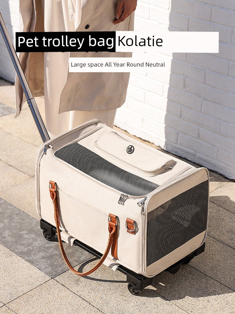 S610f5effeb3642f99f87375ed1266d0fW