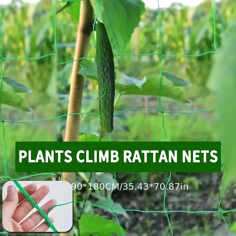 S64a24bd12294425a8314f54e51073f928