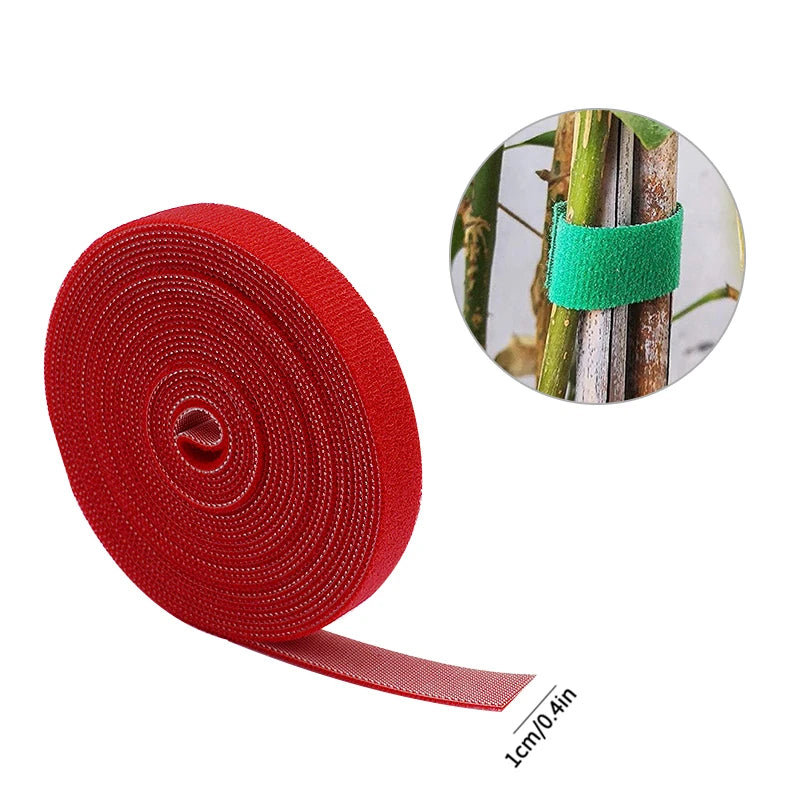 S6d42b51da1674994b466c348505637d9t