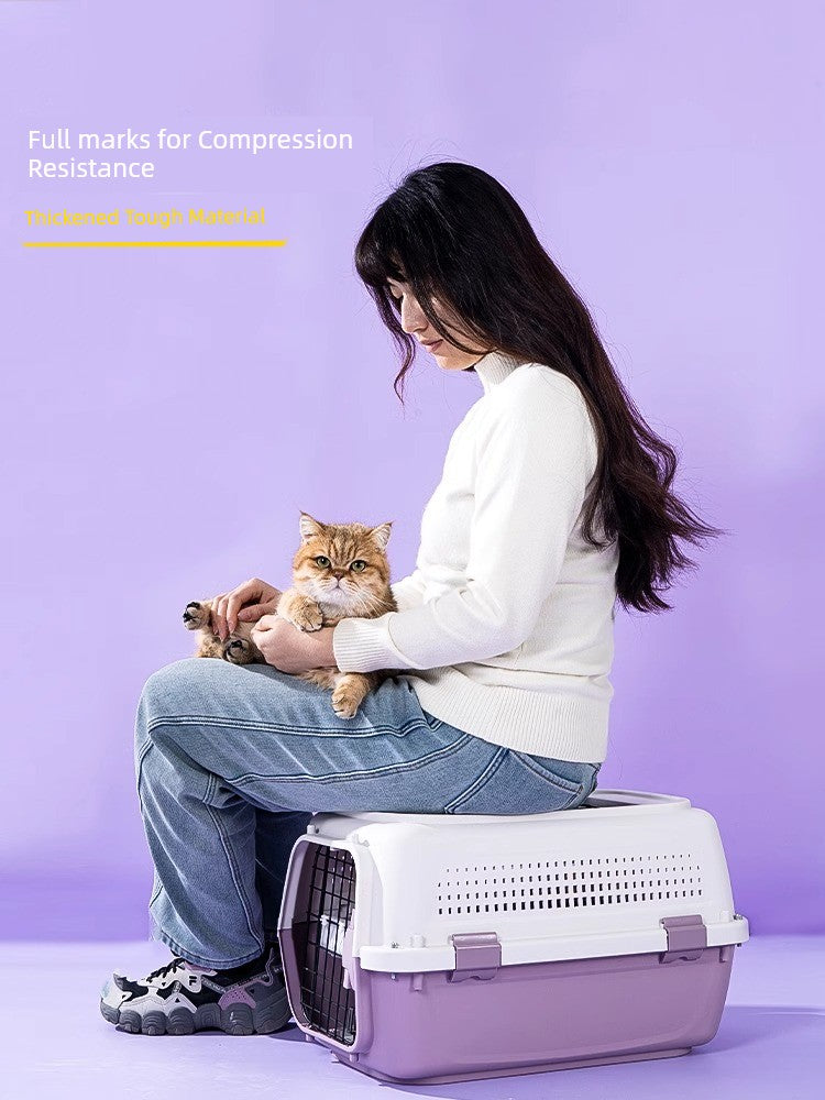 S70add185f9b6409b88f359fd3951d4ffM