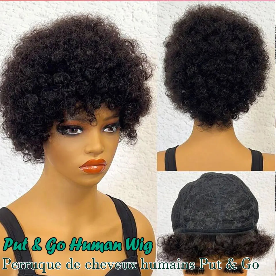 S82d3f1f34ab0402baf4748a5116758306