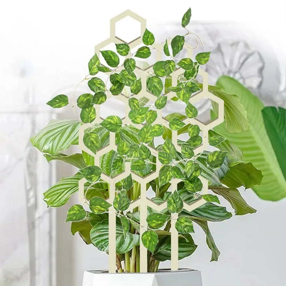 S88bd9137a1444c5f96e1ee28e603b5d5M