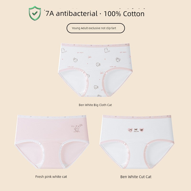 S96adf80b633b44a2bfee46740d4756dch