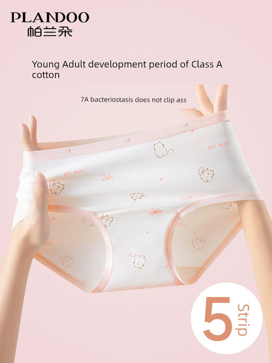 S98976c4551f1442ab4d1396864f18f2bm