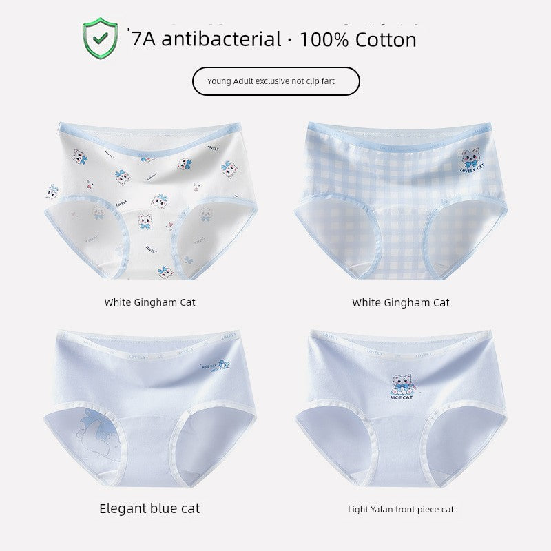 S9fa081581cb4495f95d69bccc3aae08d4