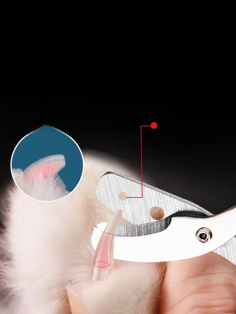 Sa24fc021382f4d6b9acc970a3fe0cef7n