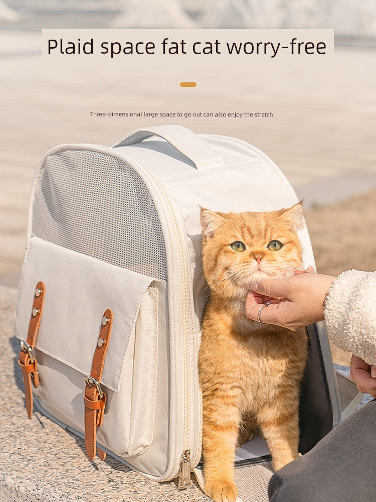 Sac2a9620254d4fd9b5b8691c8442267b0