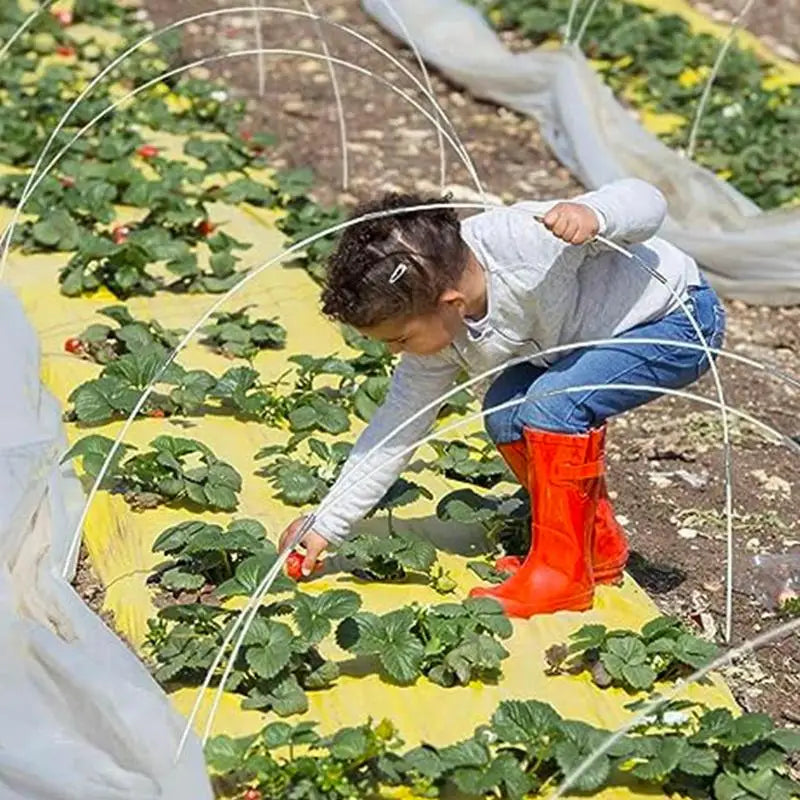 Sbb94f53963a744e69f0599a8035c4d51d