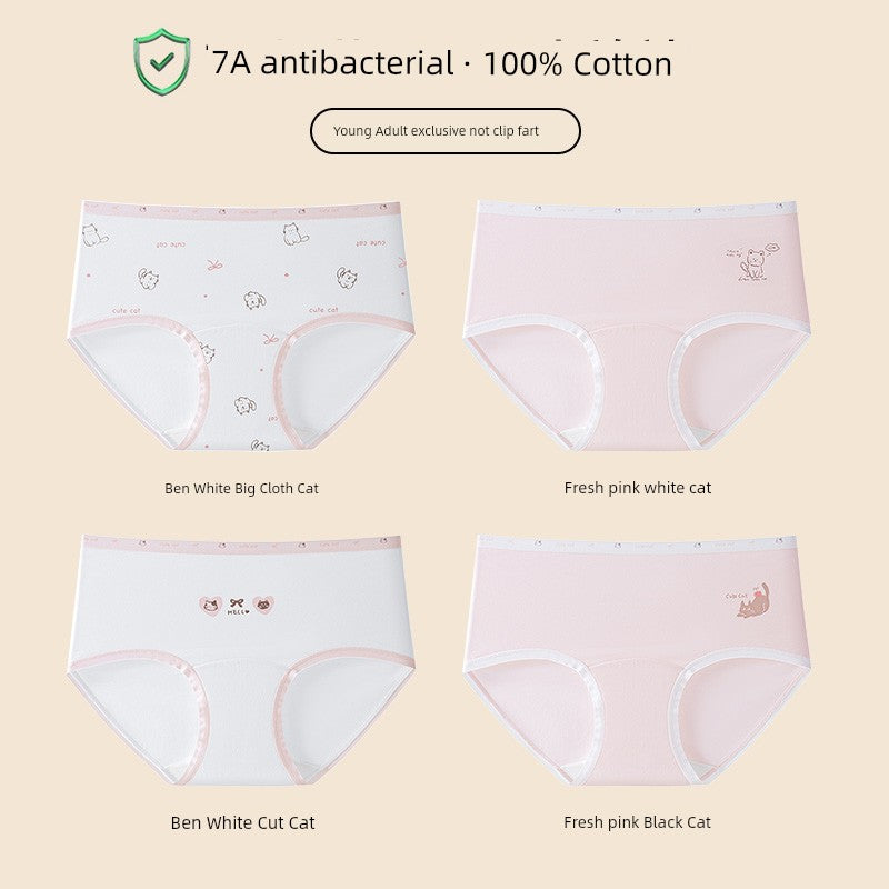 Sbdc23e4116ba4ab6a4134f39b42c374eN