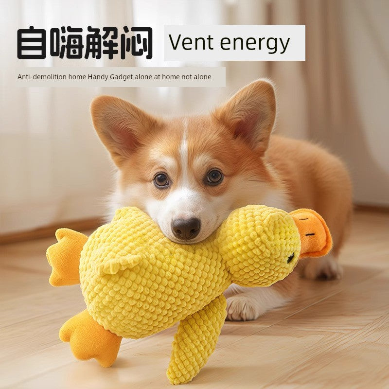 Sbf4b175998f54889800b781ed6954590D