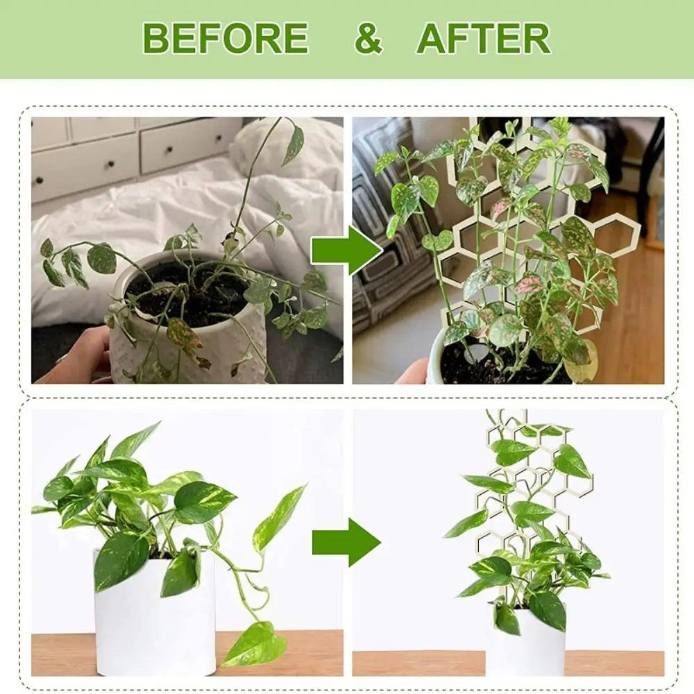 Sc15d864bc106406ca08ad21edb4794819