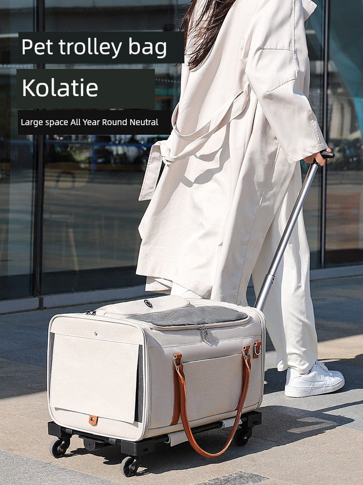 Sc5c09dcd5b3146d0bb4b14314b3038b31