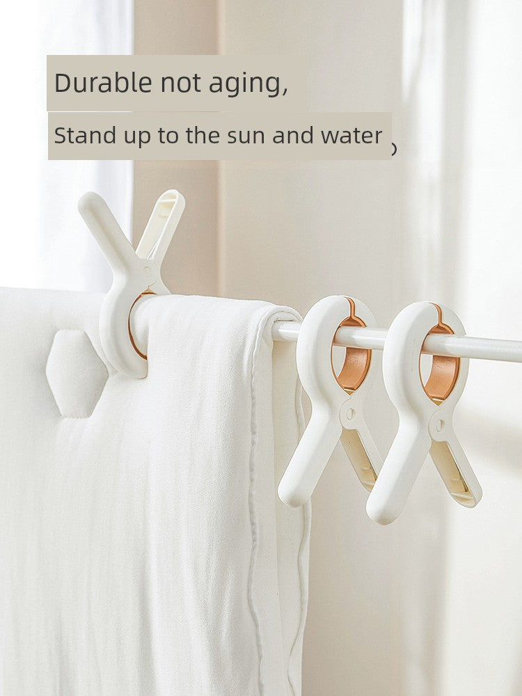 Scee4b6c800f542fea8fa4ff189c52728E