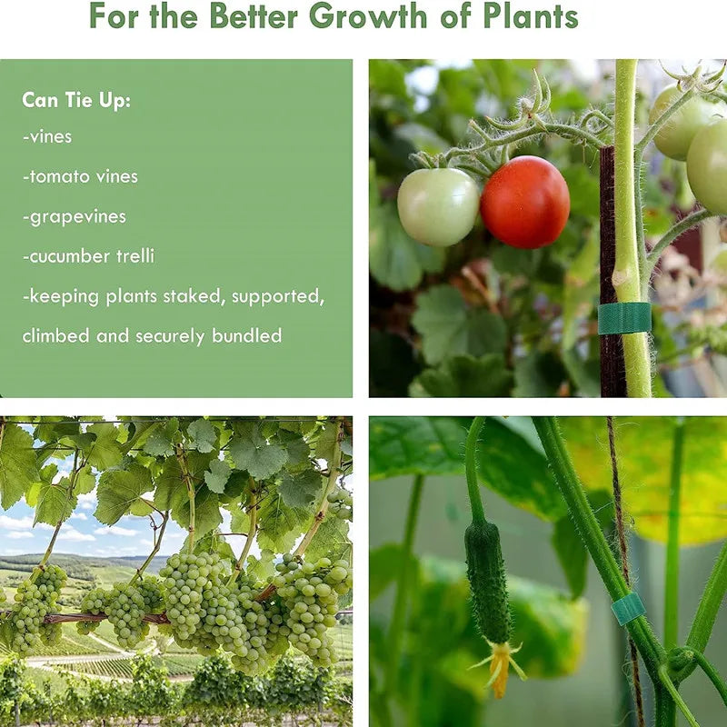 Sd71896ff70614db2b1389d523ea89610i