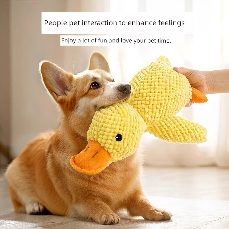 Sdbefa57e552241459f3ef522a45a80e8u