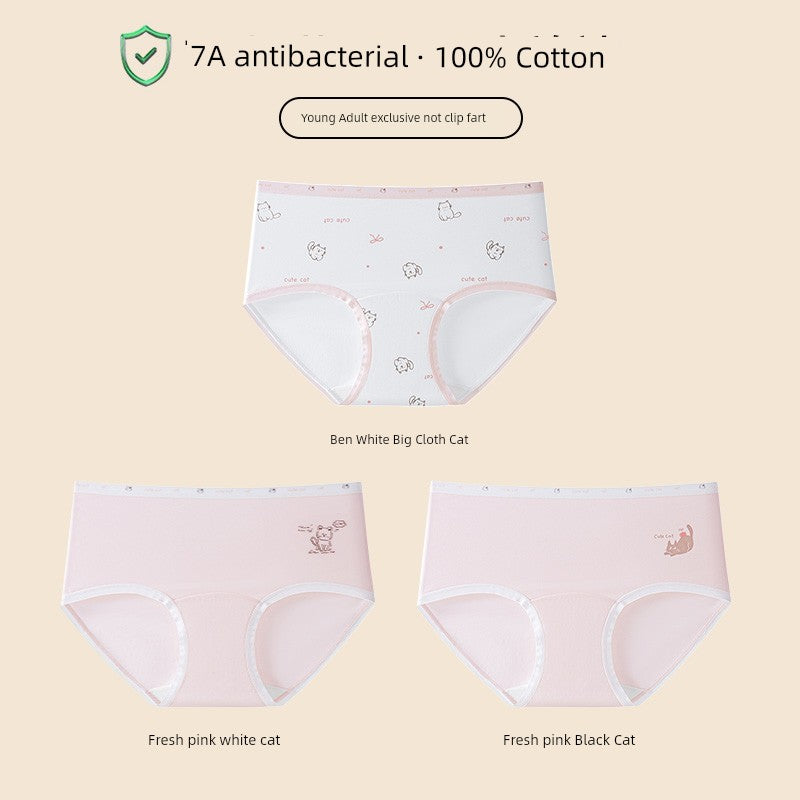 Se5562065605c4d2898ea123e4909f75cy