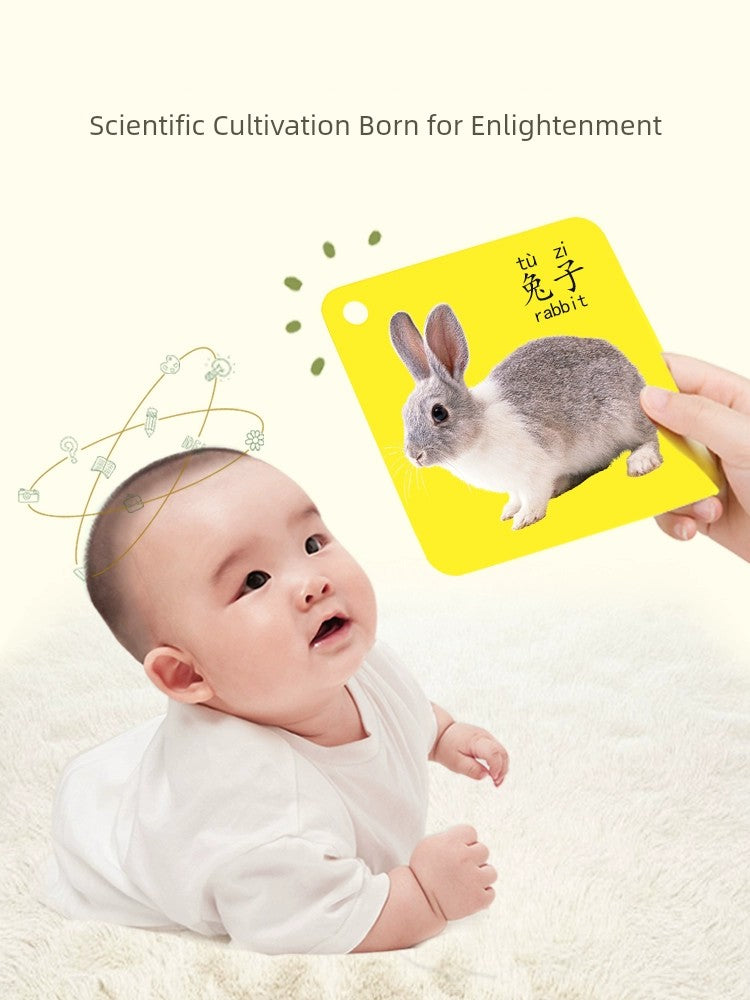 Sf4029116def44b07a91ce1fd82a66891r