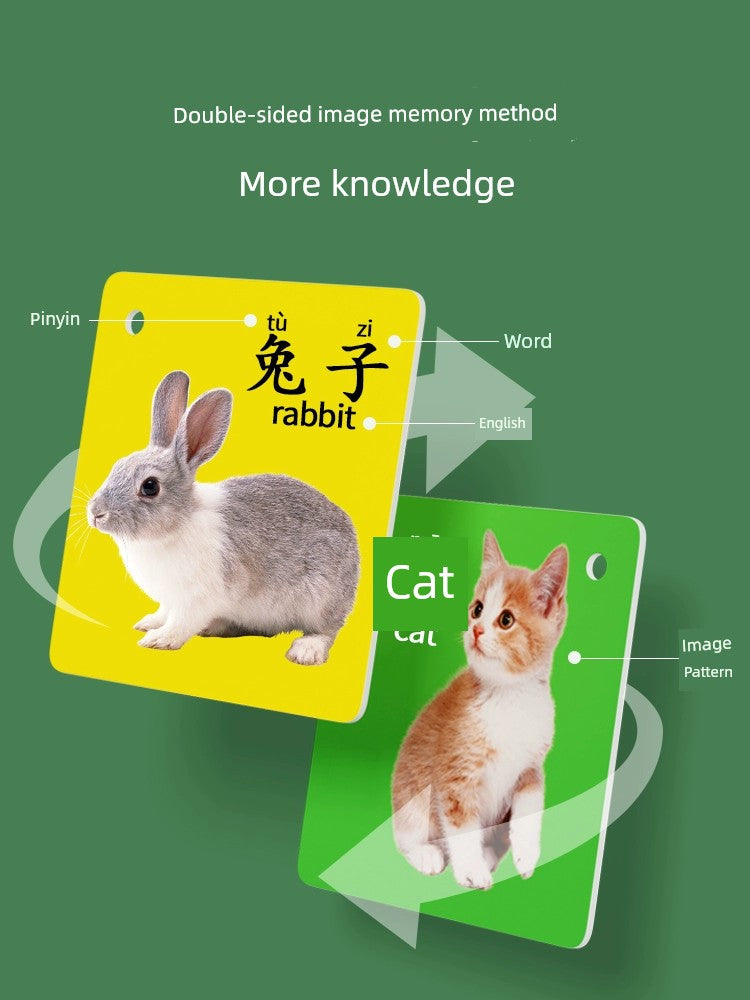 Sfd5c07ba45cd420ba1340c4561c6ecd7n