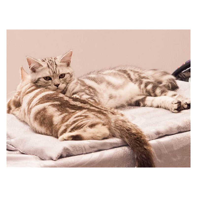 a8a10072-2870-474c-a4f9-ff6821c50728