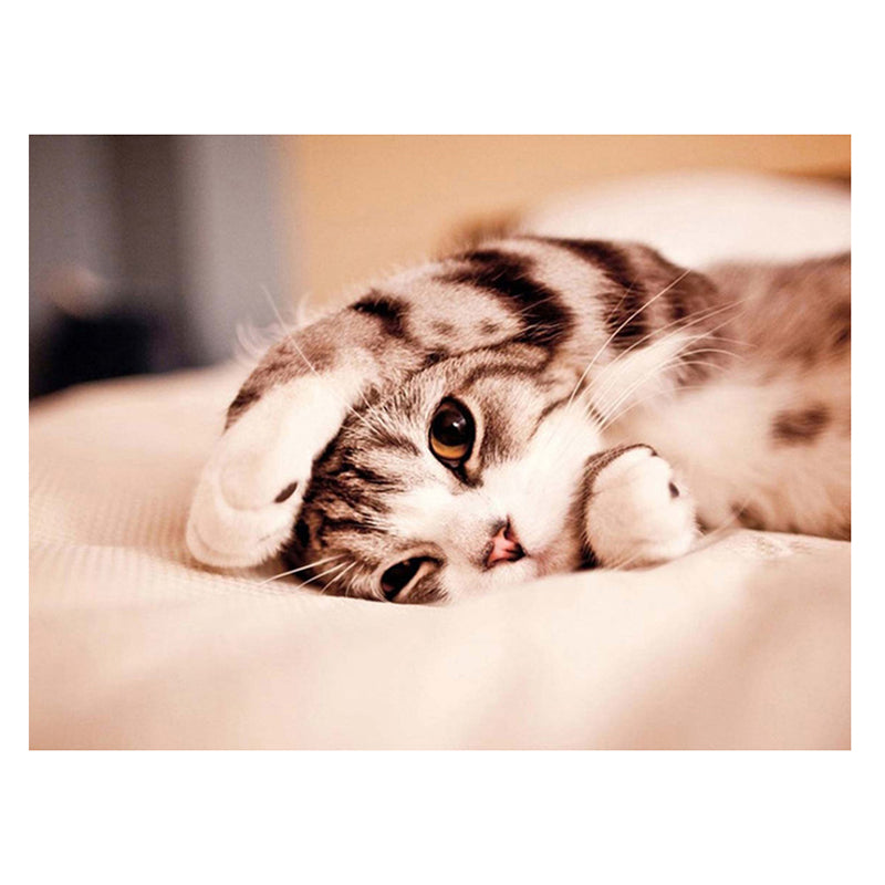 ac7d91bd-1e63-4528-a3dd-d9ab5b48efbe