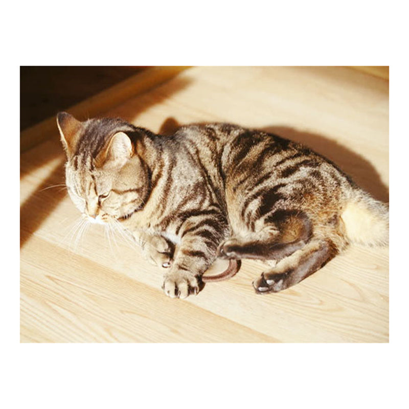 b5c8d71c-a80f-4b6c-b70a-9019136ea437