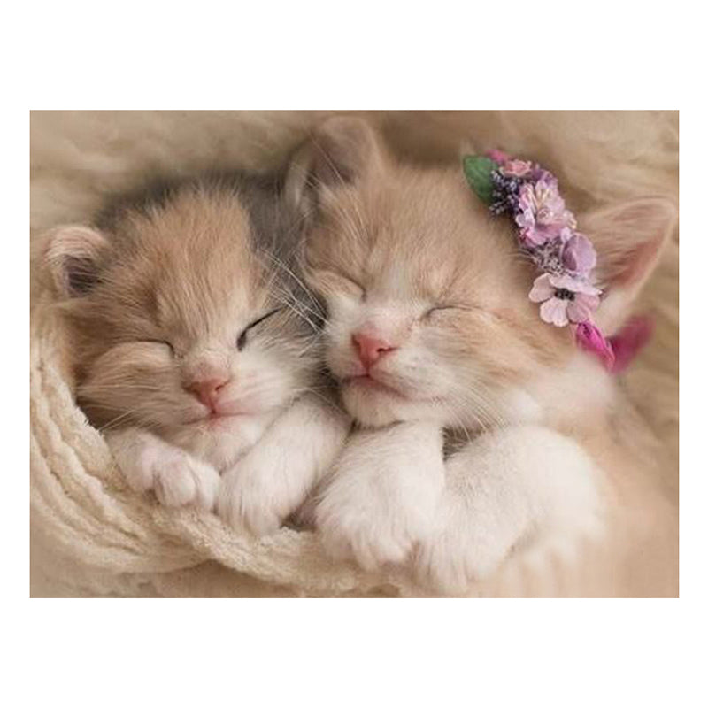 ce282587-4f27-45dd-bf20-731f123bd703