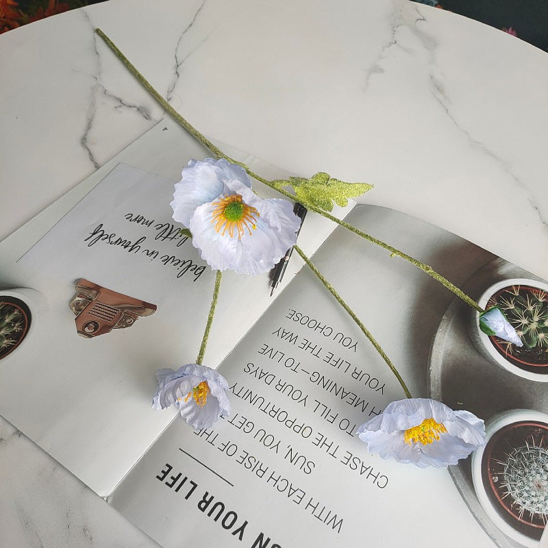 e5ad58f6-036c-4ab8-ae51-2dd28002b7a3