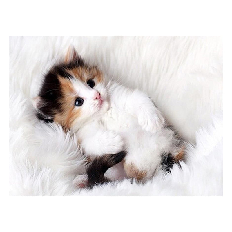 fe0504c4-c7e8-4638-8eea-990d3bf6ec6f